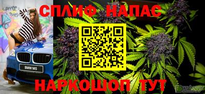 гидра Гагарин