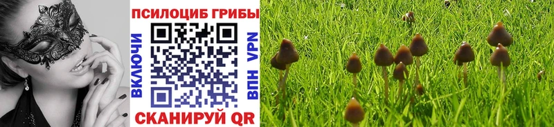 Галлюциногенные грибы мицелий  Каспийск 