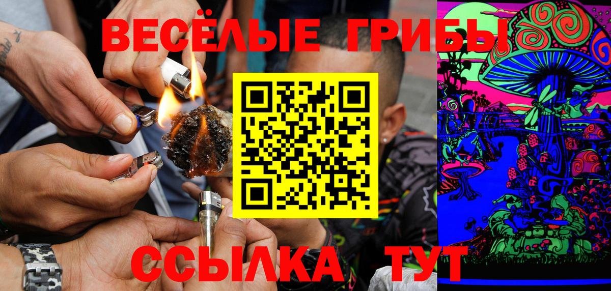 Псилоцибиновые грибы Psilocybine cubensis Каспийск
